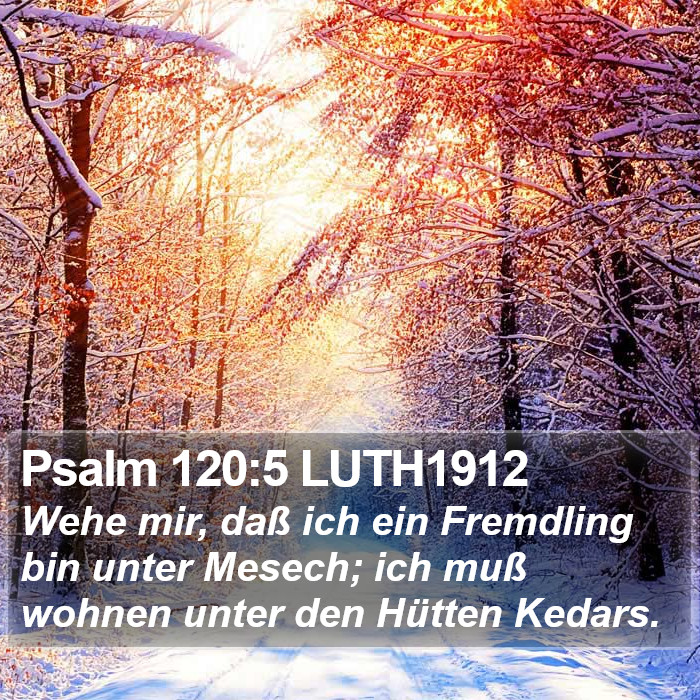 Psalm 120:5 LUTH1912 Bible Study