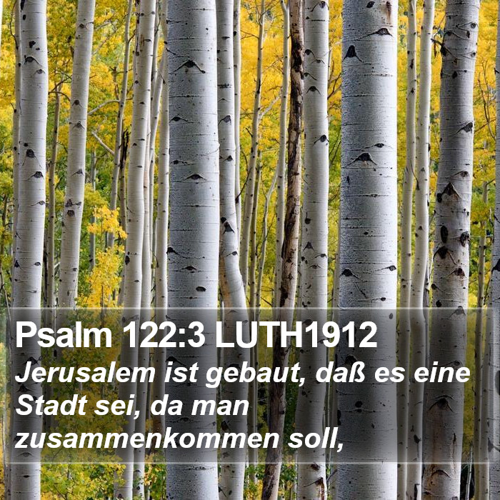 Psalm 122:3 LUTH1912 Bible Study