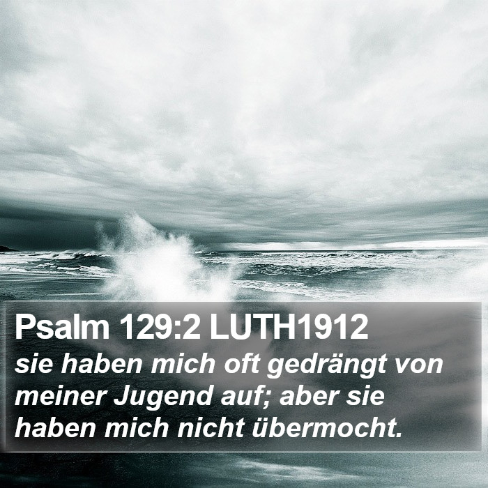 Psalm 129:2 LUTH1912 Bible Study