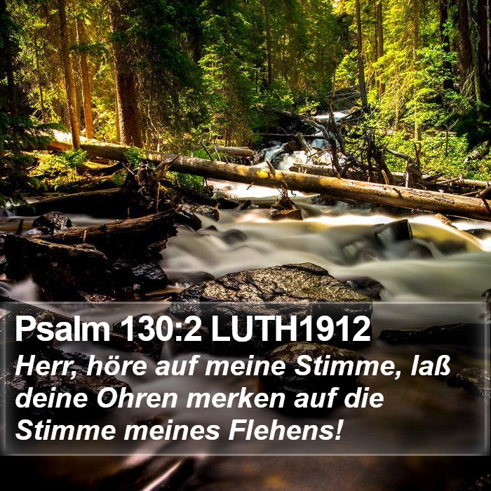 Psalm 130:2 LUTH1912 Bible Study