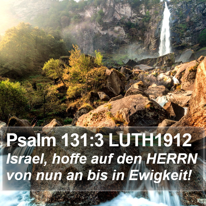 Psalm 131:3 LUTH1912 Bible Study