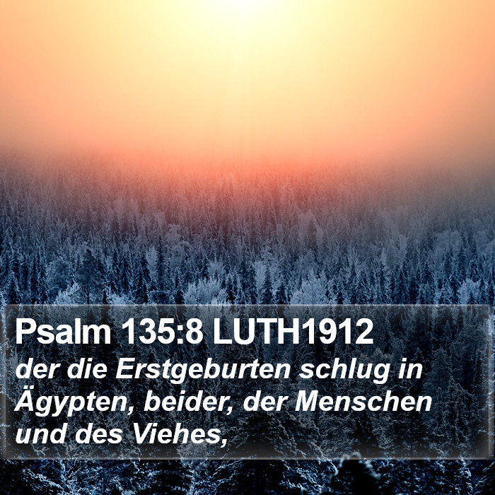 Psalm 135:8 LUTH1912 Bible Study
