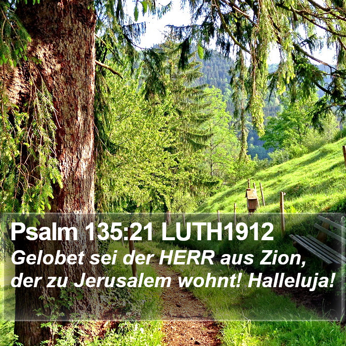 Psalm 135:21 LUTH1912 Bible Study