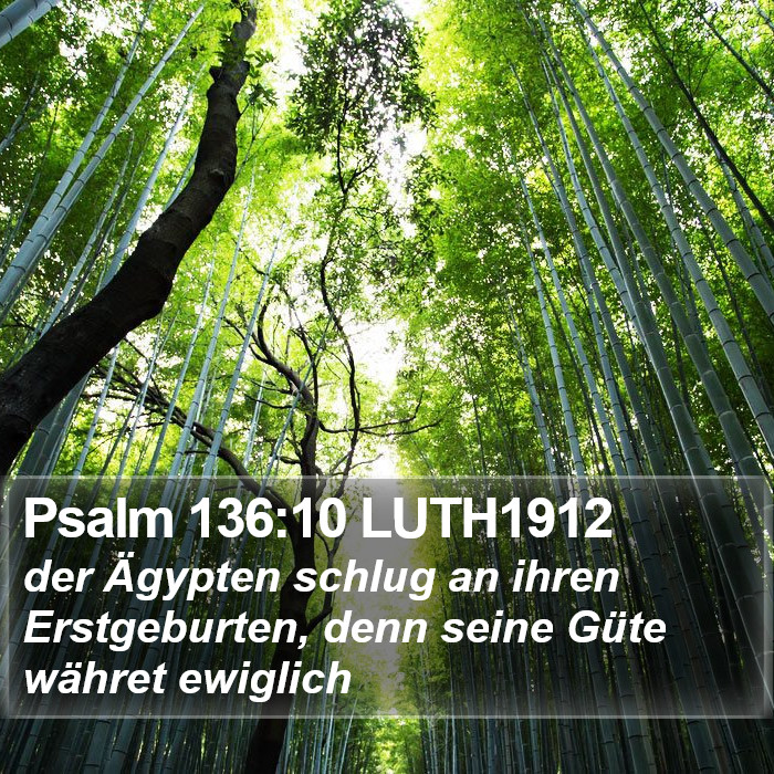 Psalm 136:10 LUTH1912 Bible Study