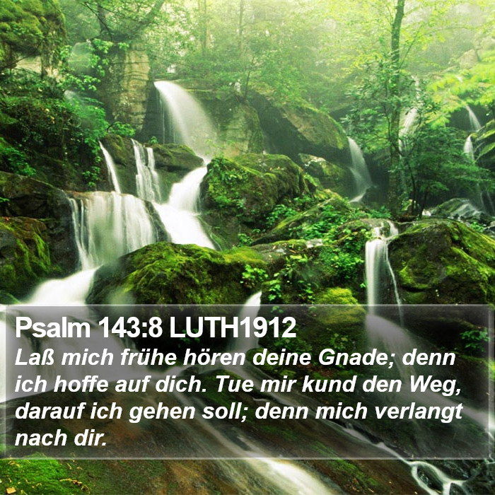 Psalm 143:8 LUTH1912 Bible Study