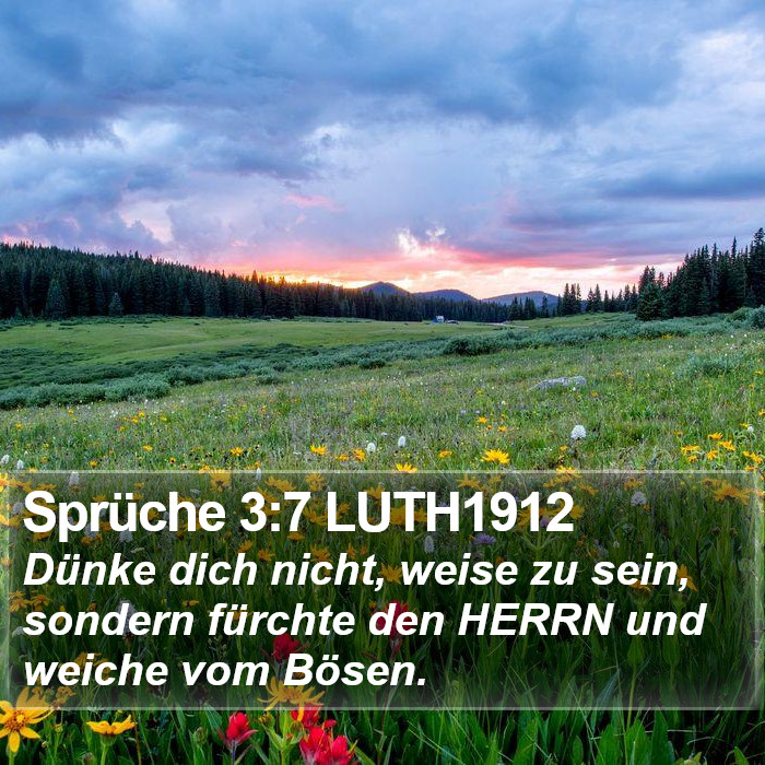 Sprüche 3:7 LUTH1912 Bible Study