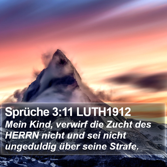 Sprüche 3:11 LUTH1912 Bible Study