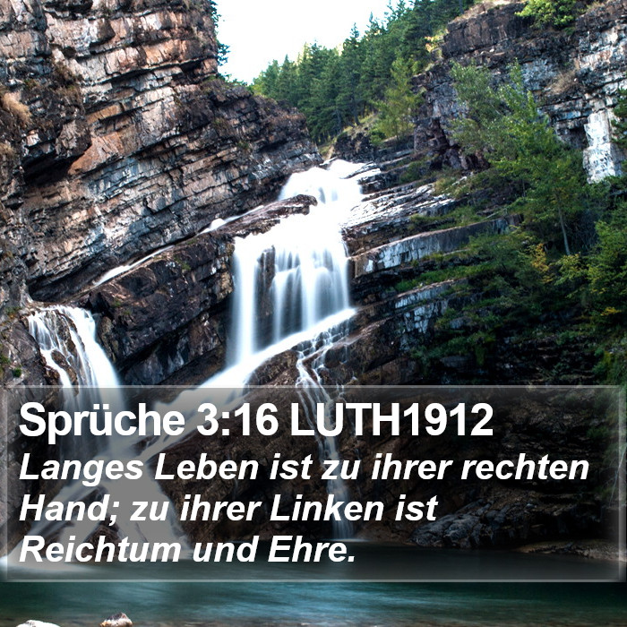 Sprüche 3:16 LUTH1912 Bible Study