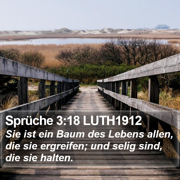 Sprüche 3:18 LUTH1912 Bible Study
