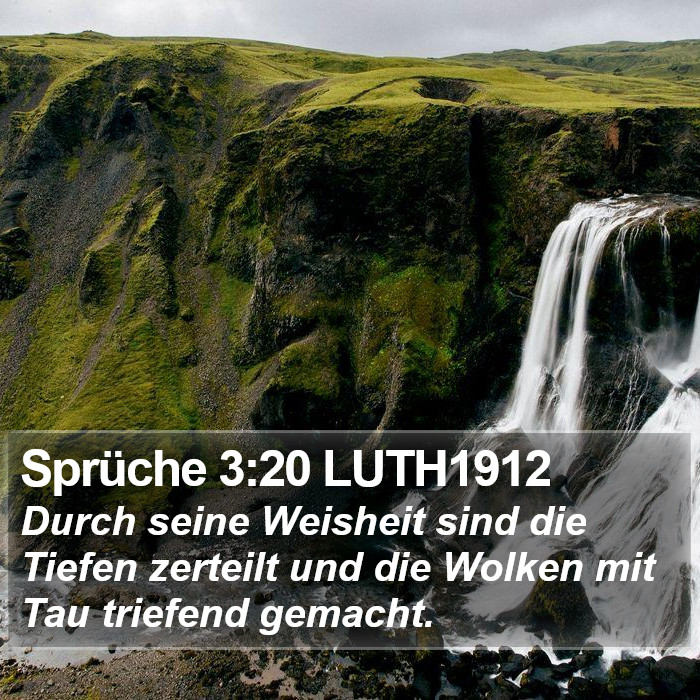 Sprüche 3:20 LUTH1912 Bible Study