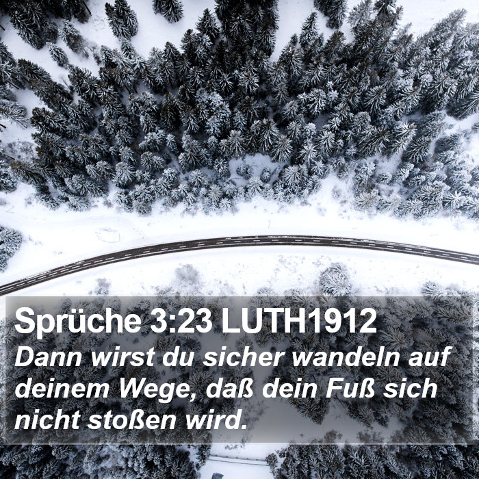 Sprüche 3:23 LUTH1912 Bible Study
