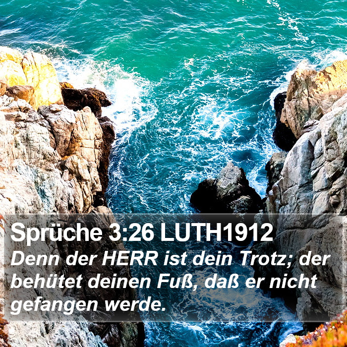 Sprüche 3:26 LUTH1912 Bible Study