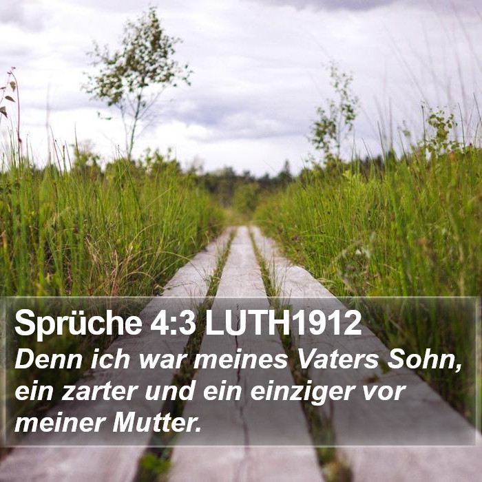 Sprüche 4:3 LUTH1912 Bible Study