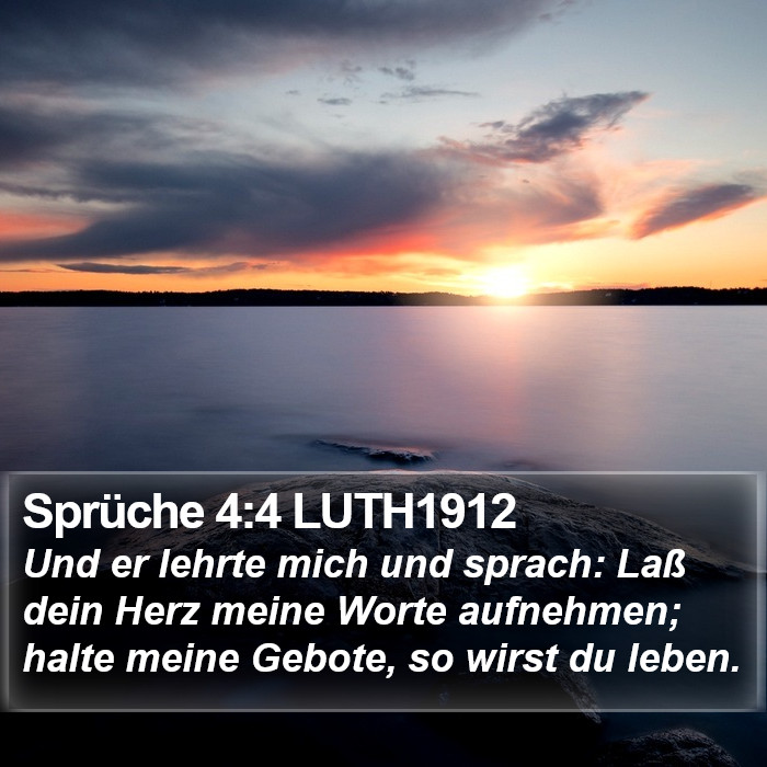 Sprüche 4:4 LUTH1912 Bible Study
