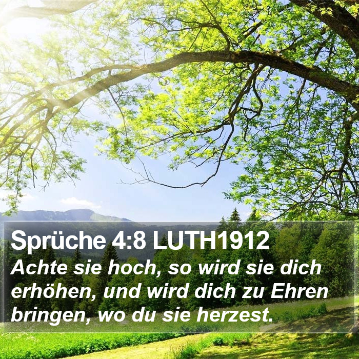Sprüche 4:8 LUTH1912 Bible Study