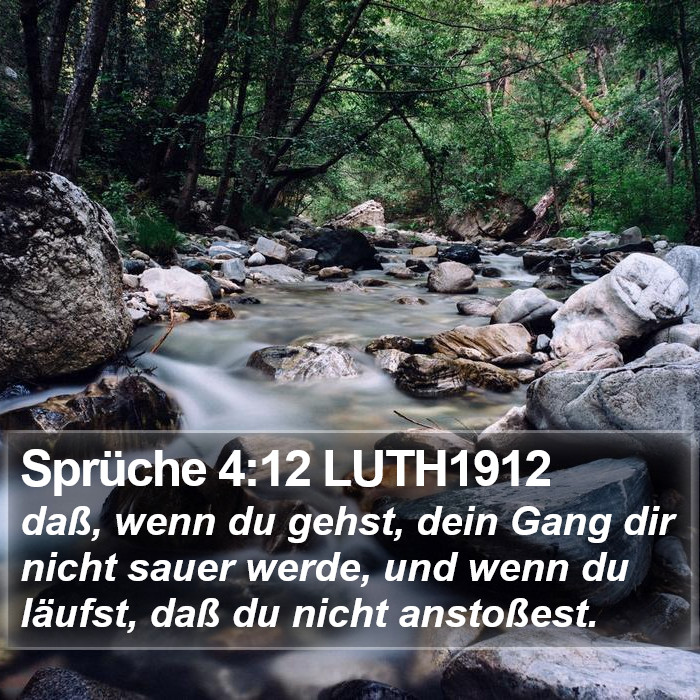 Sprüche 4:12 LUTH1912 Bible Study