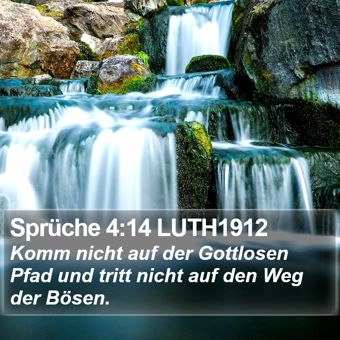 Sprüche 4:14 LUTH1912 Bible Study