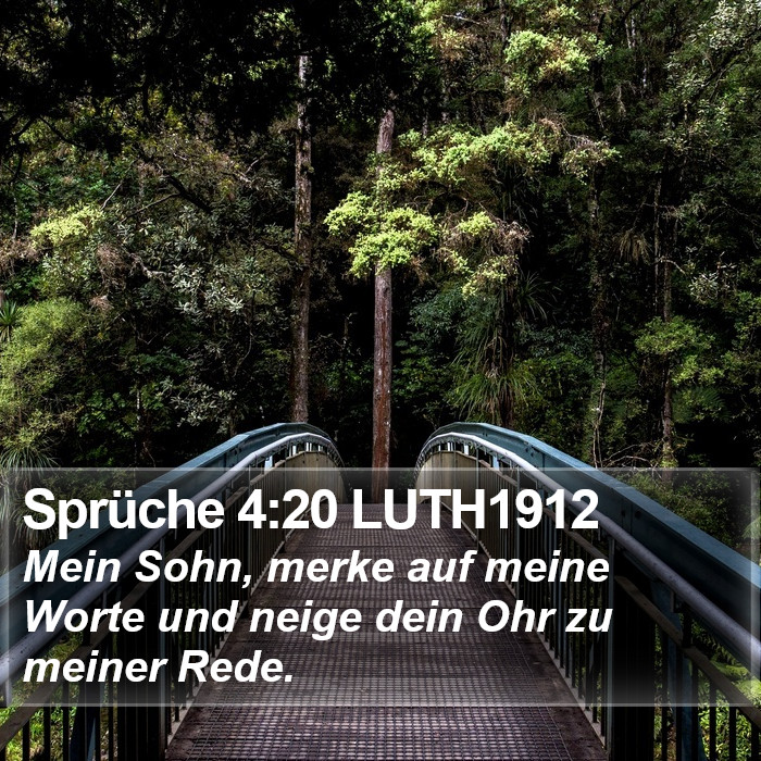 Sprüche 4:20 LUTH1912 Bible Study