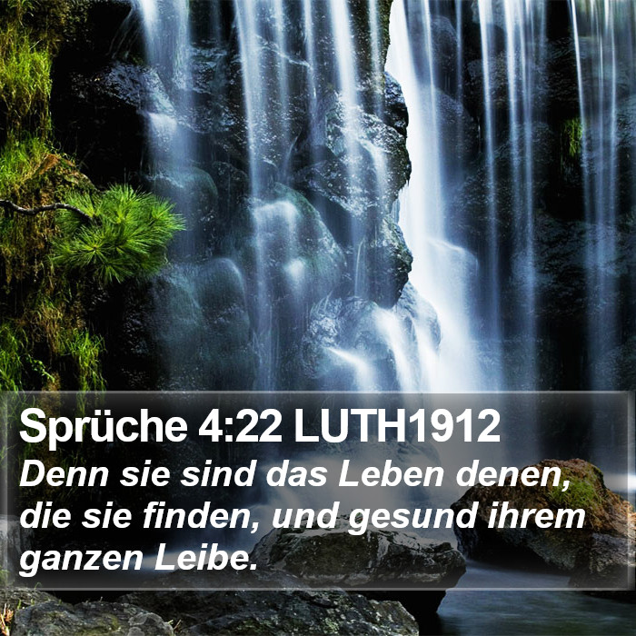Sprüche 4:22 LUTH1912 Bible Study