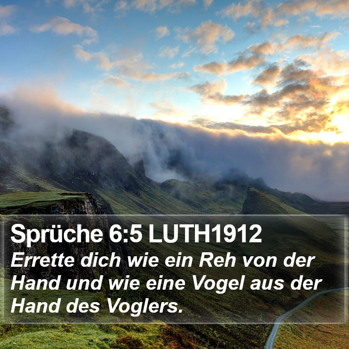 Sprüche 6:5 LUTH1912 Bible Study