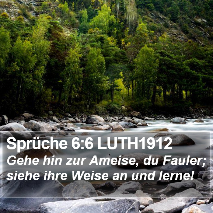 Sprüche 6:6 LUTH1912 Bible Study