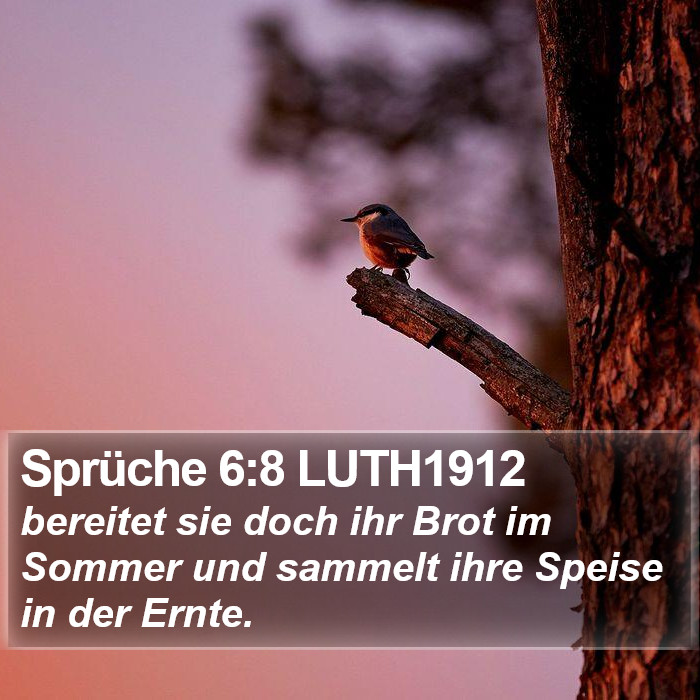 Sprüche 6:8 LUTH1912 Bible Study