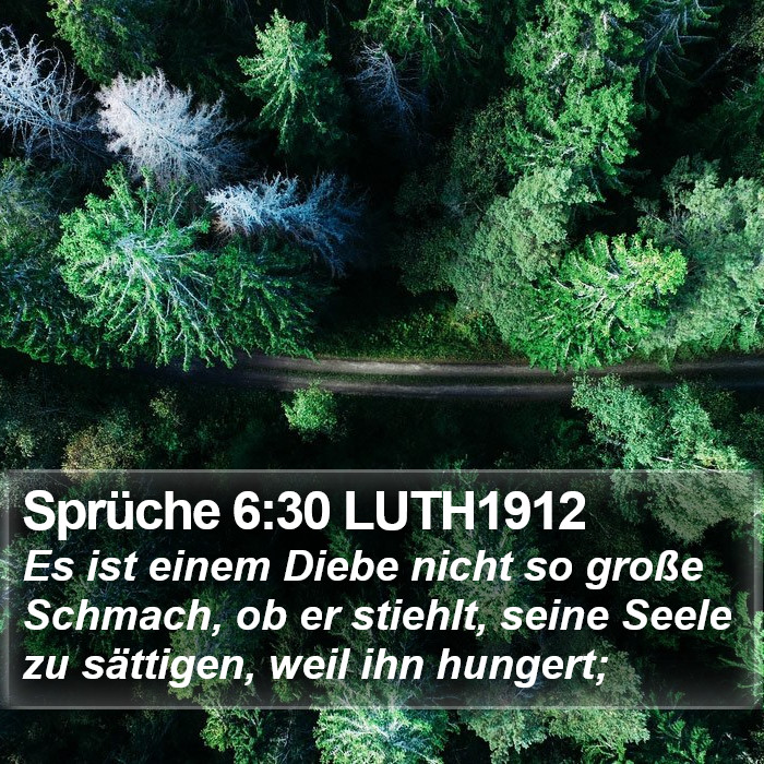 Sprüche 6:30 LUTH1912 Bible Study