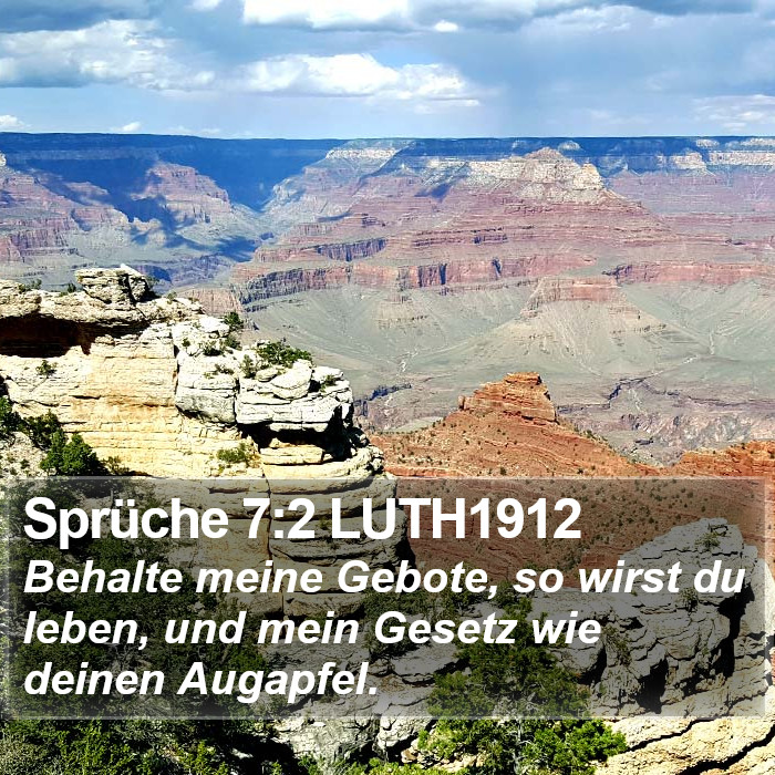 Sprüche 7:2 LUTH1912 Bible Study