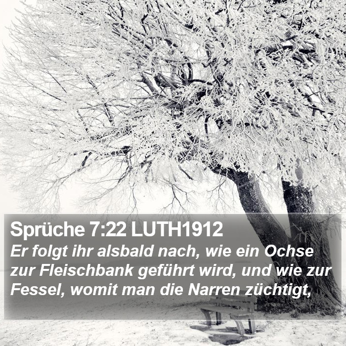 Sprüche 7:22 LUTH1912 Bible Study