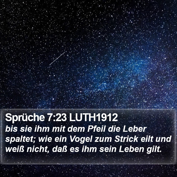 Sprüche 7:23 LUTH1912 Bible Study