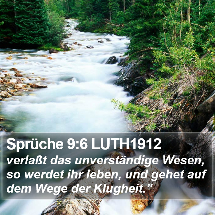 Sprüche 9:6 LUTH1912 Bible Study