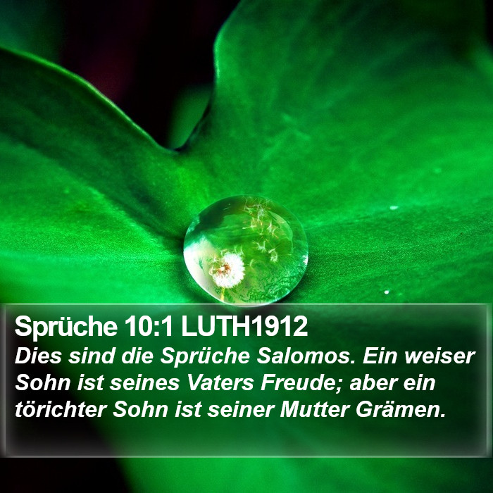 Sprüche 10:1 LUTH1912 Bible Study