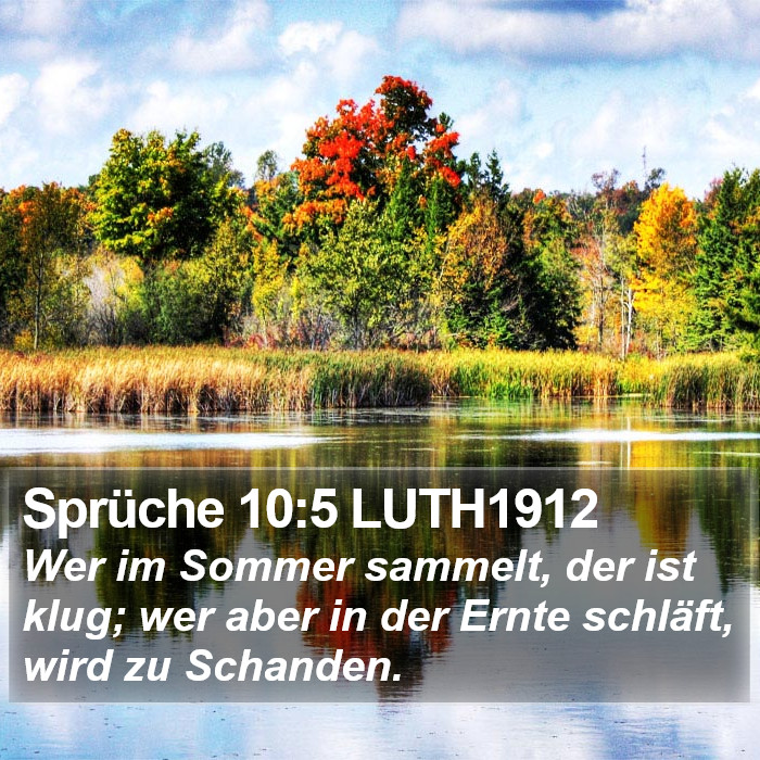 Sprüche 10:5 LUTH1912 Bible Study