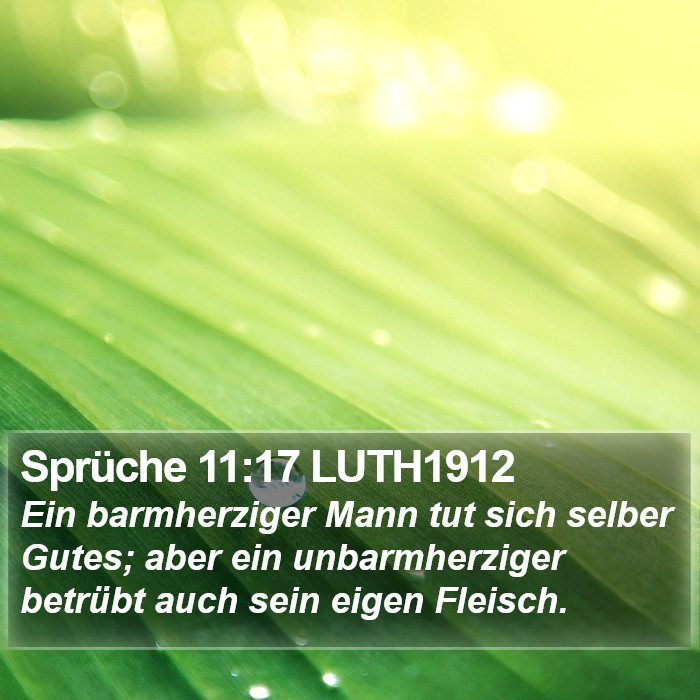 Sprüche 11:17 LUTH1912 Bible Study