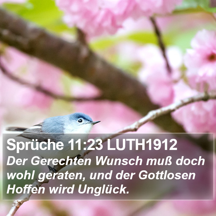 Sprüche 11:23 LUTH1912 Bible Study