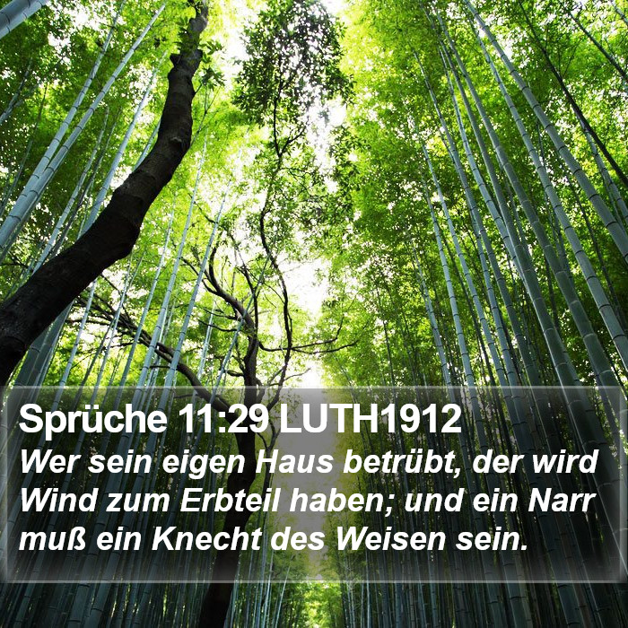 Sprüche 11:29 LUTH1912 Bible Study