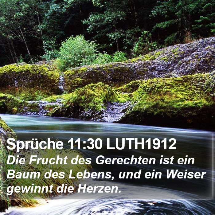 Sprüche 11:30 LUTH1912 Bible Study