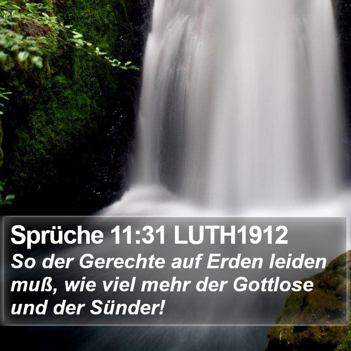 Sprüche 11:31 LUTH1912 Bible Study