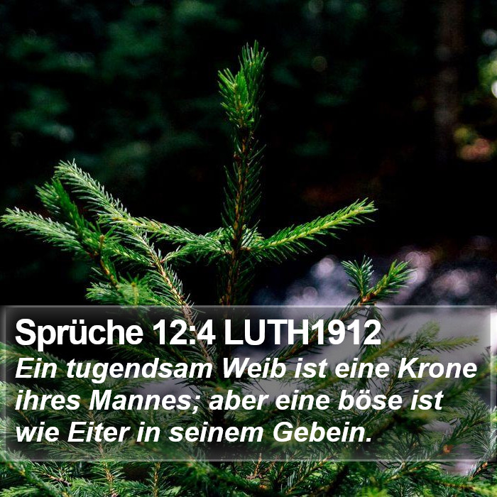 Sprüche 12:4 LUTH1912 Bible Study