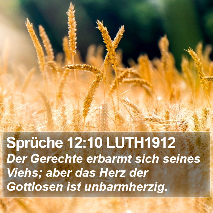 Sprüche 12:10 LUTH1912 Bible Study