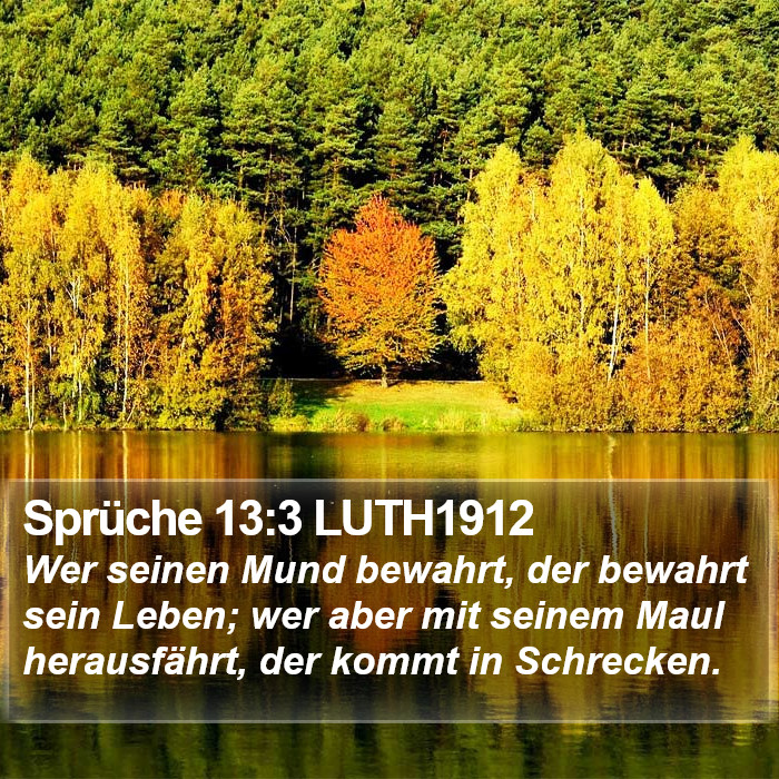 Sprüche 13:3 LUTH1912 Bible Study