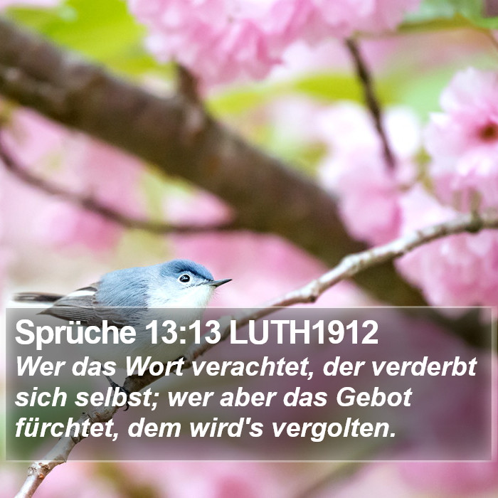 Sprüche 13:13 LUTH1912 Bible Study