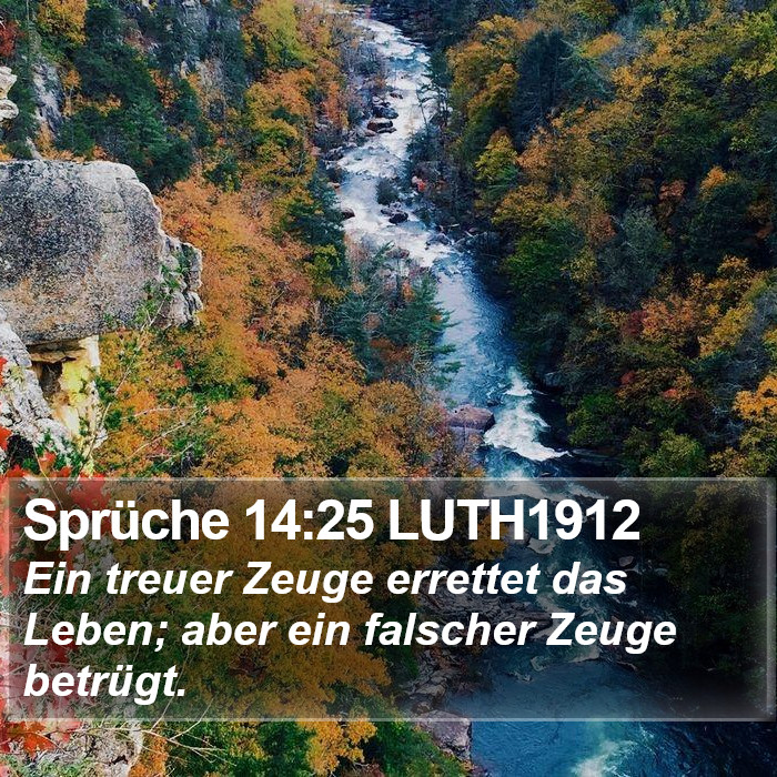 Sprüche 14:25 LUTH1912 Bible Study