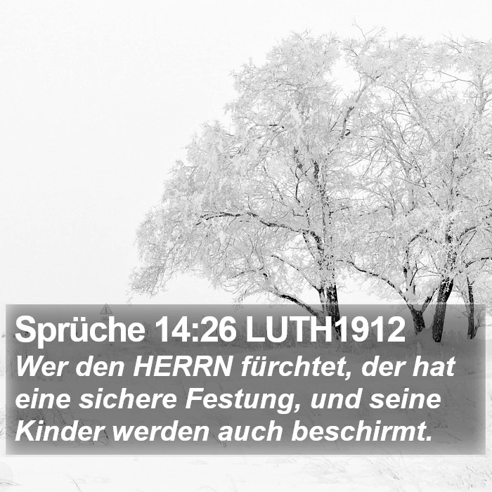 Sprüche 14:26 LUTH1912 Bible Study
