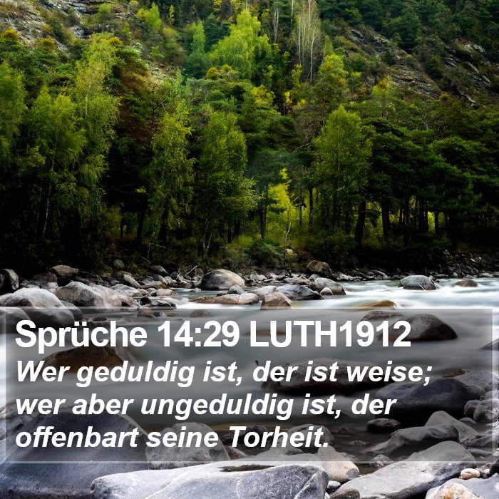 Sprüche 14:29 LUTH1912 Bible Study