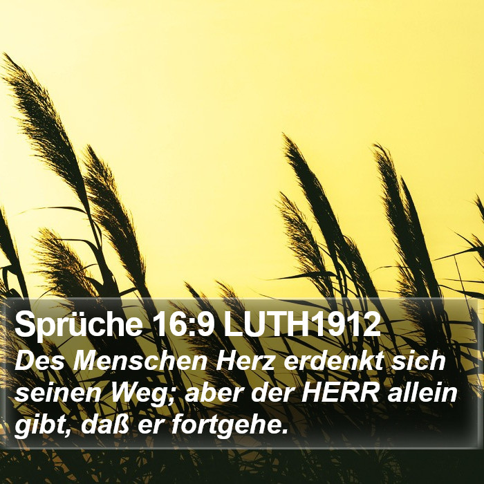 Sprüche 16:9 LUTH1912 Bible Study