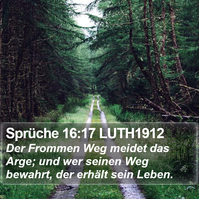 Sprüche 16:17 LUTH1912 Bible Study