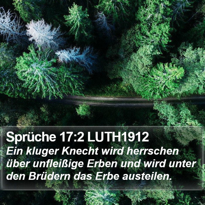 Sprüche 17:2 LUTH1912 Bible Study