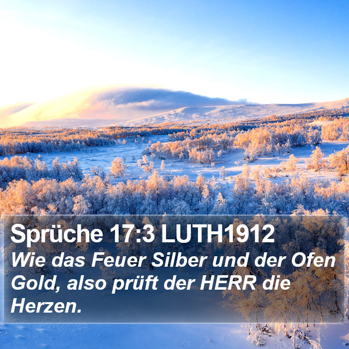 Sprüche 17:3 LUTH1912 Bible Study