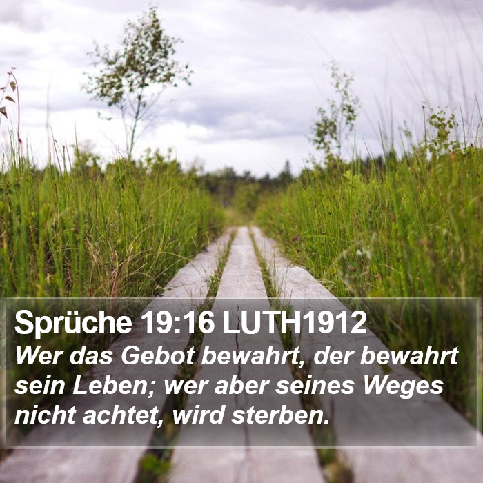 Sprüche 19:16 LUTH1912 Bible Study